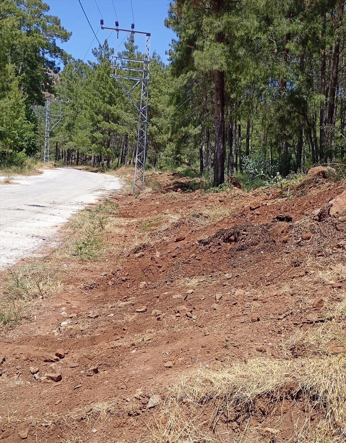 Marmaris’te Yangın Riskine Karşı Temizlik Çalışması