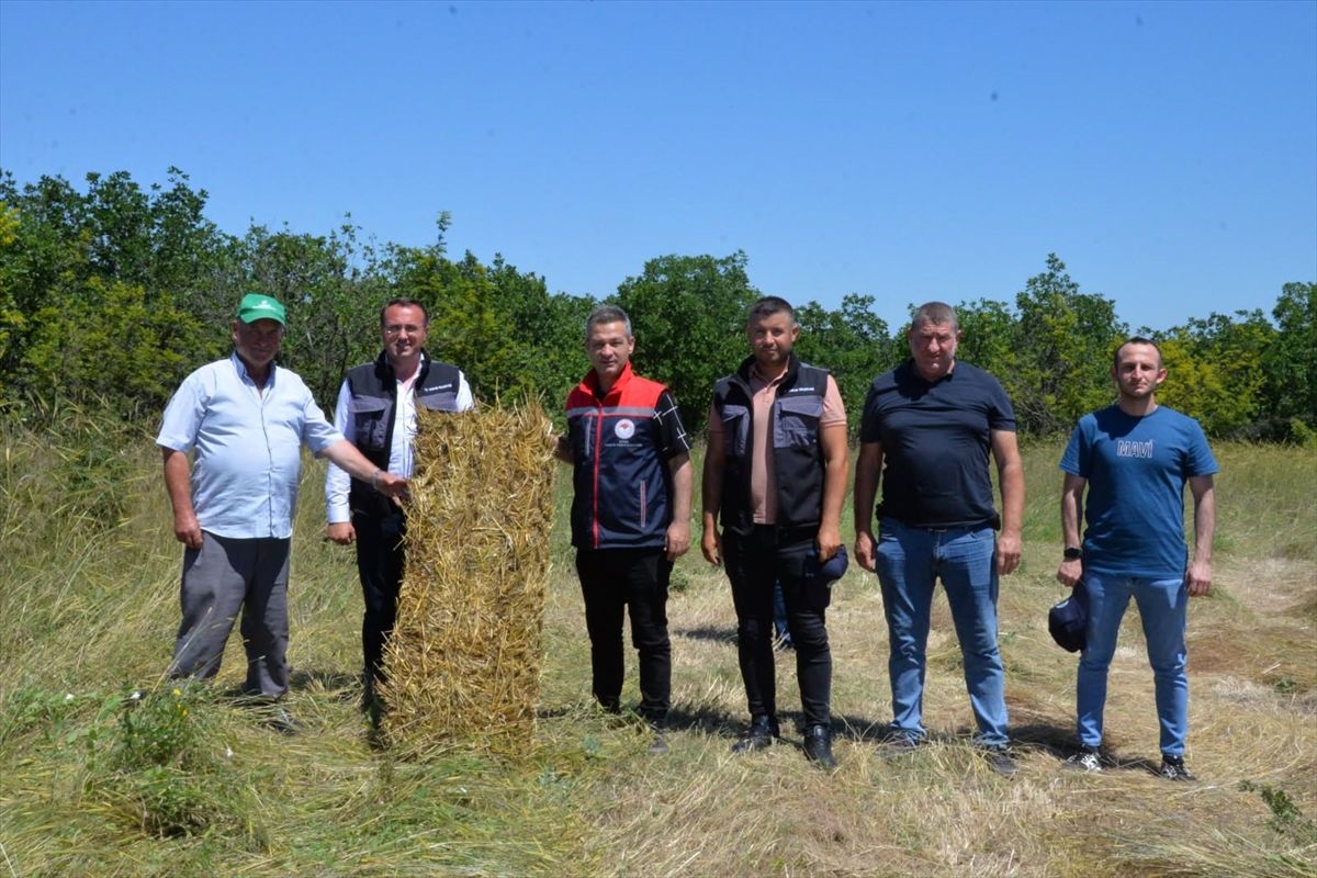 Meriç’te Kaba Yem Balyalama Çalışması