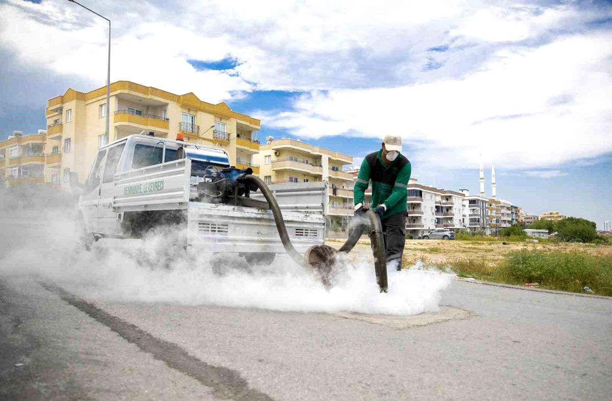 Mersin’de sinek ve haşerelere karşı yoğun mesai
