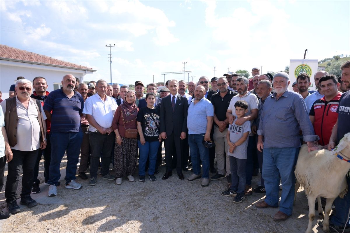 Nevşehir’de Damızlık Koç Dağıtımı