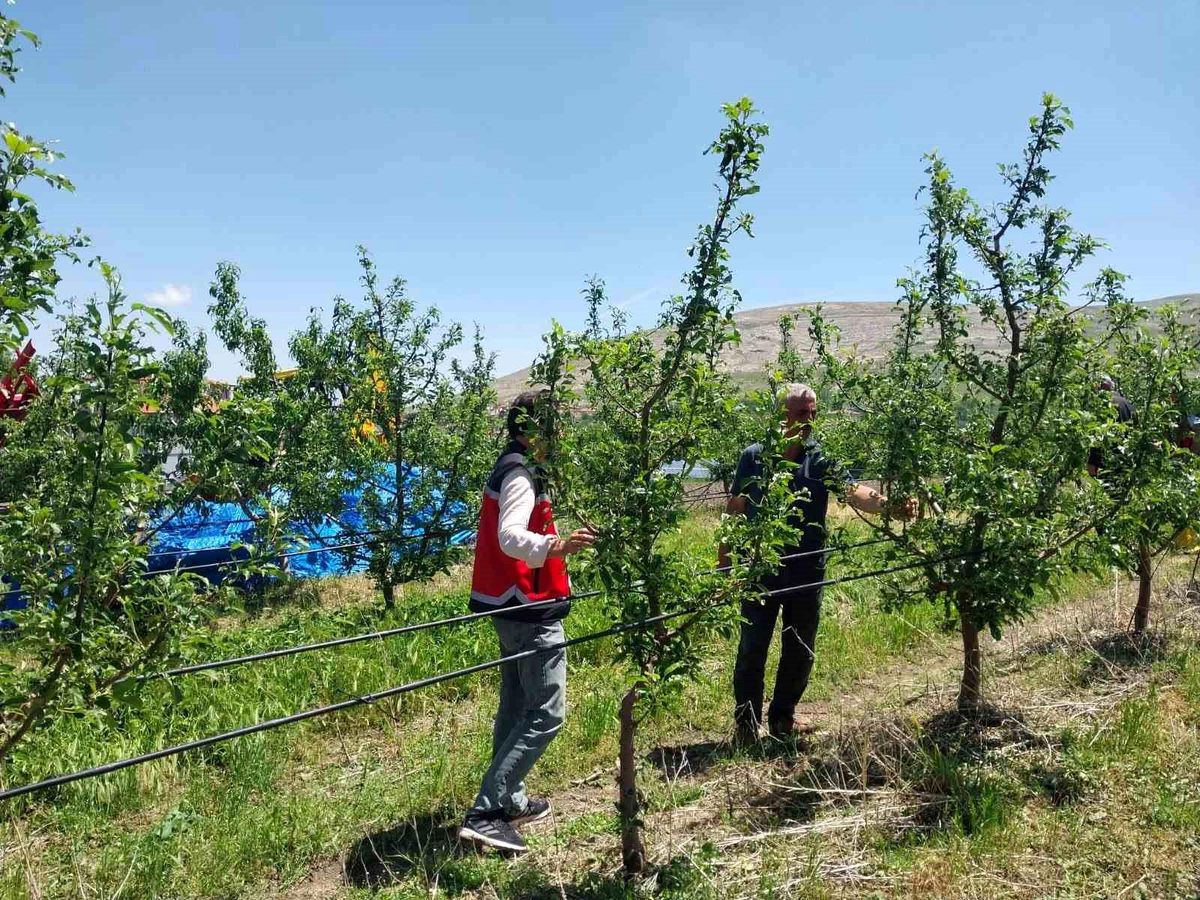 Niğde’de Dolu ve Sağanak Zarara Yol Açtı