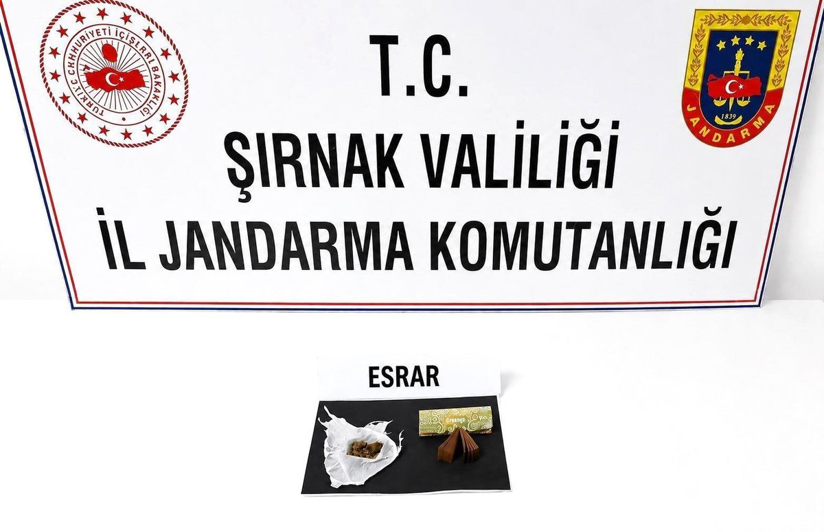 Şırnak’ta Kaçakçılık Operasyonu: 104 Gözaltı