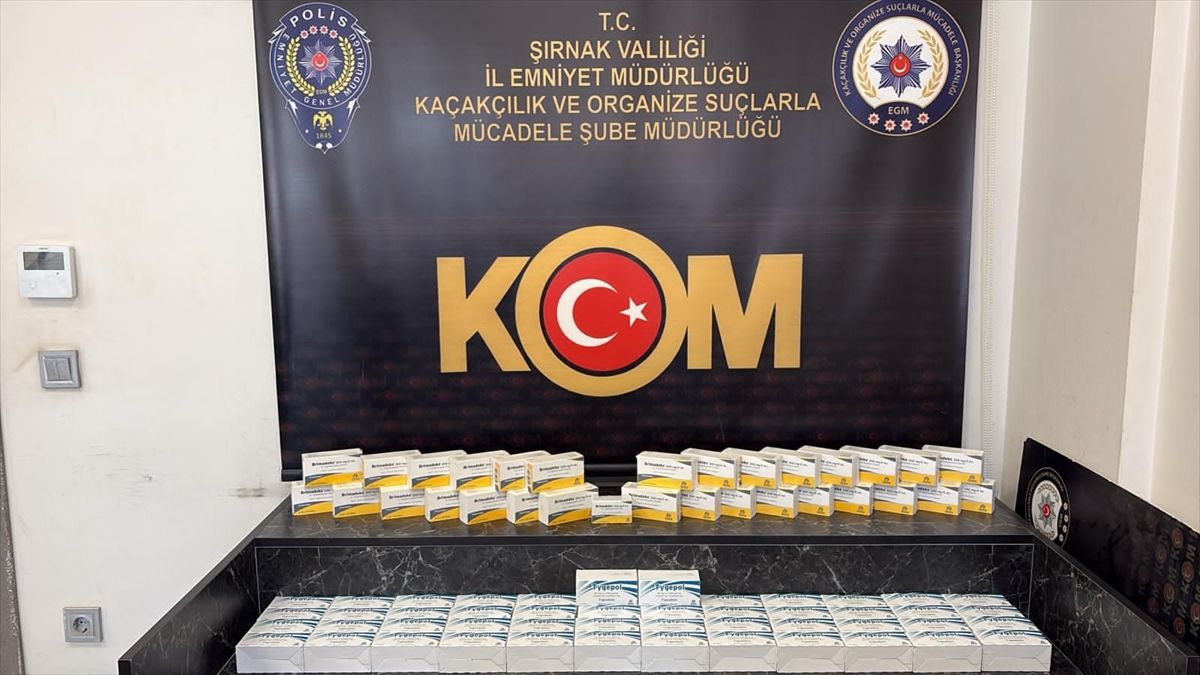 Cizre ve Silopi’de Kaçakçılık Operasyonu