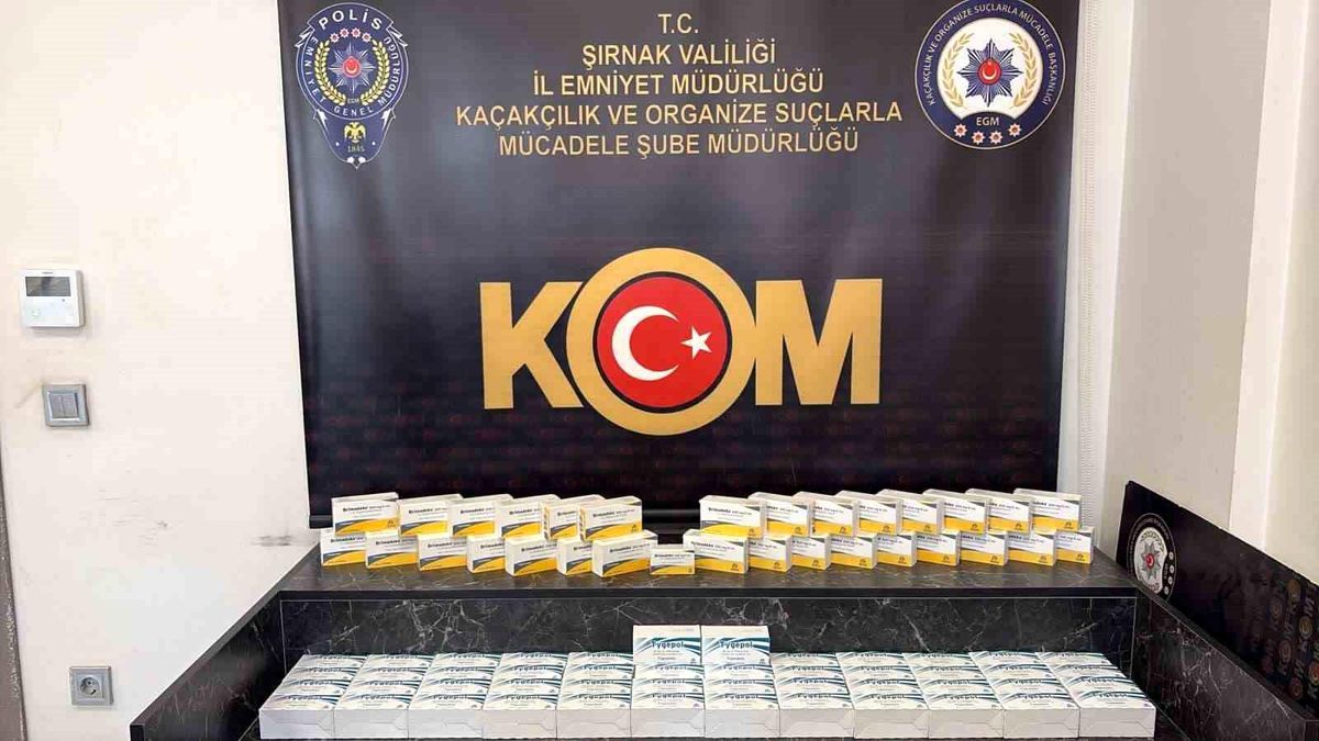Şırnak’ta Kaçak İlaç Operasyonu