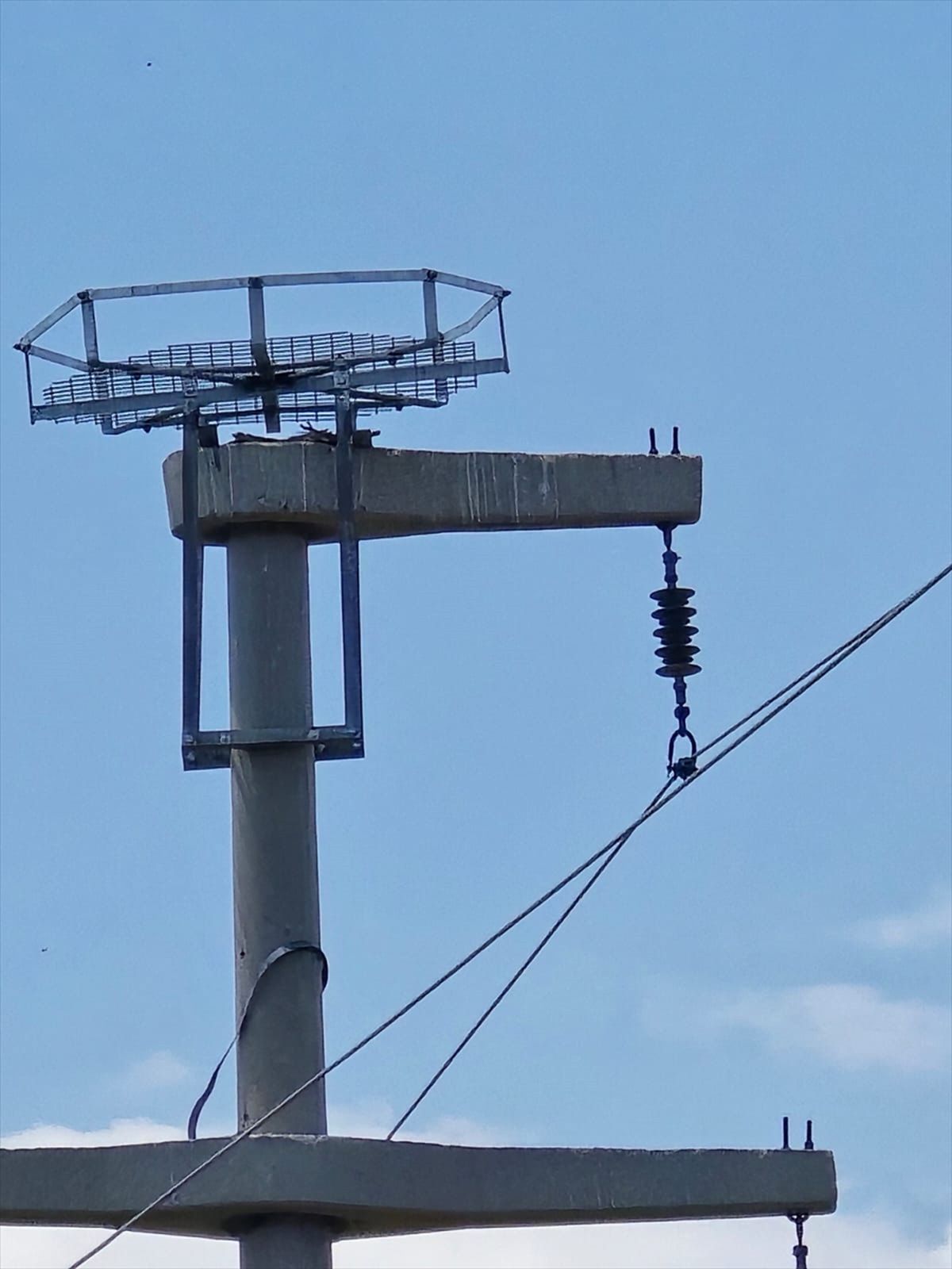 Şırnak’ta Leylekler İçin Güvenli Platformlar Kuruldu