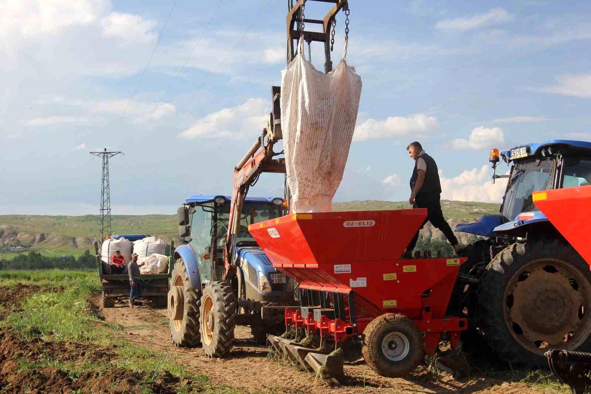 Zara’da 2026 Patates Ekim Sezonu Başladı