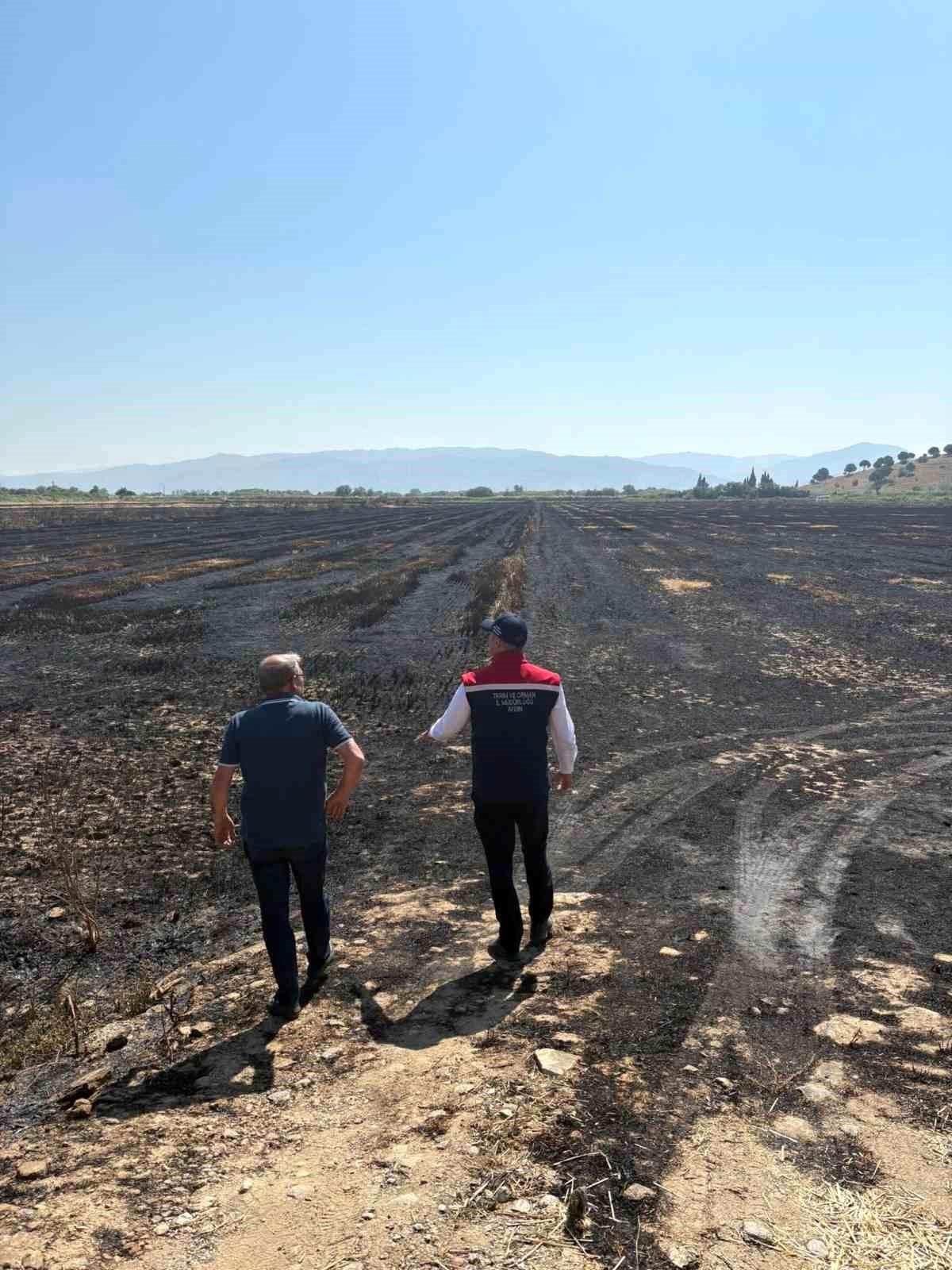 Söke’deki Tarım Arazilerinde Yangın İncelemesi