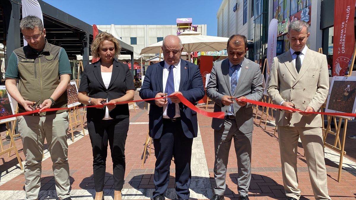 Edirne’de Fotoğraf Sergisi Açıldı