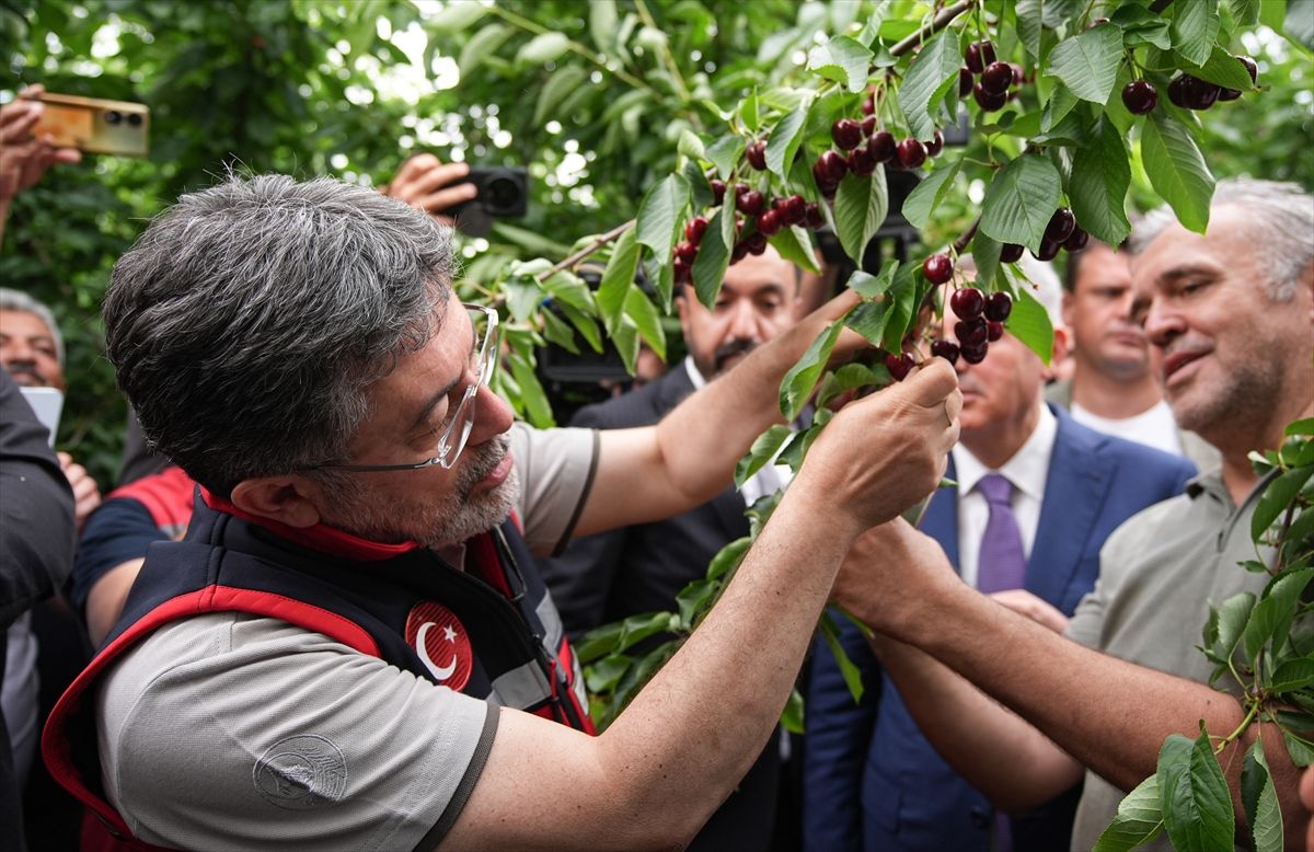 Tarım Destekleri 2026’da Güncellenecek