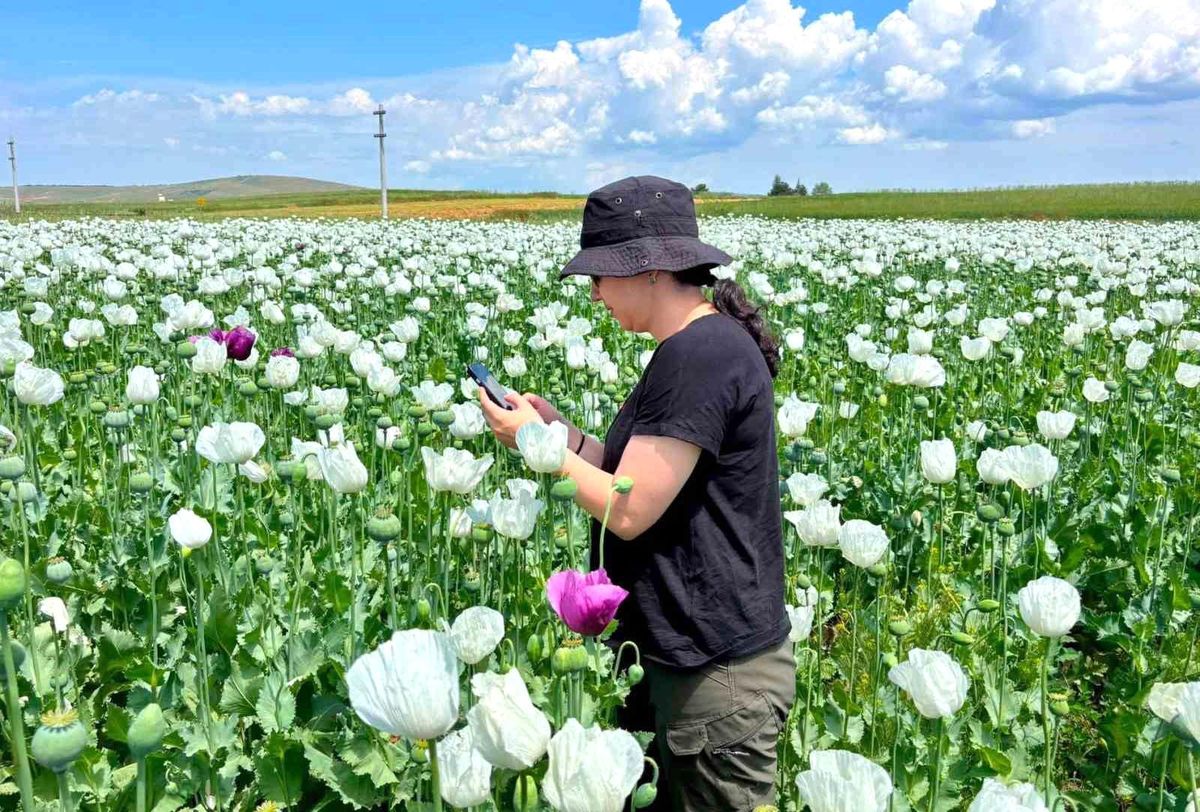 Afyonkarahisar’da Tarımsal Kontrol Çalışmaları
