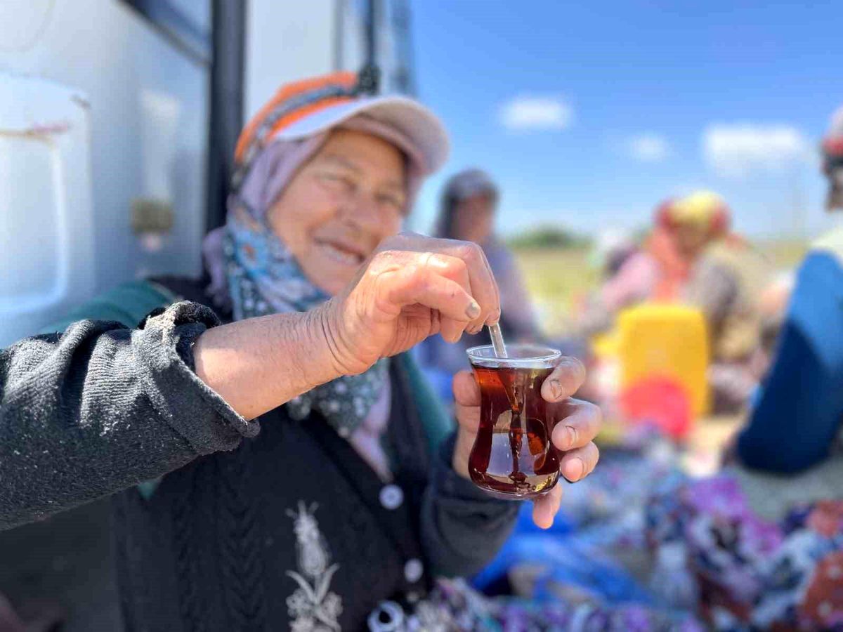 Karacabey’de İşçilerin Motivasyonu: Odun Ateşi Çayı