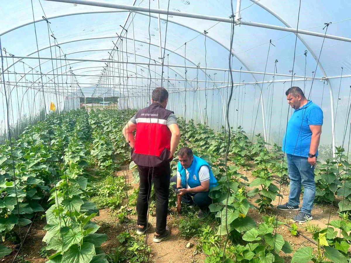 Tavşanlı’da Cezaevi Serası Denetimi