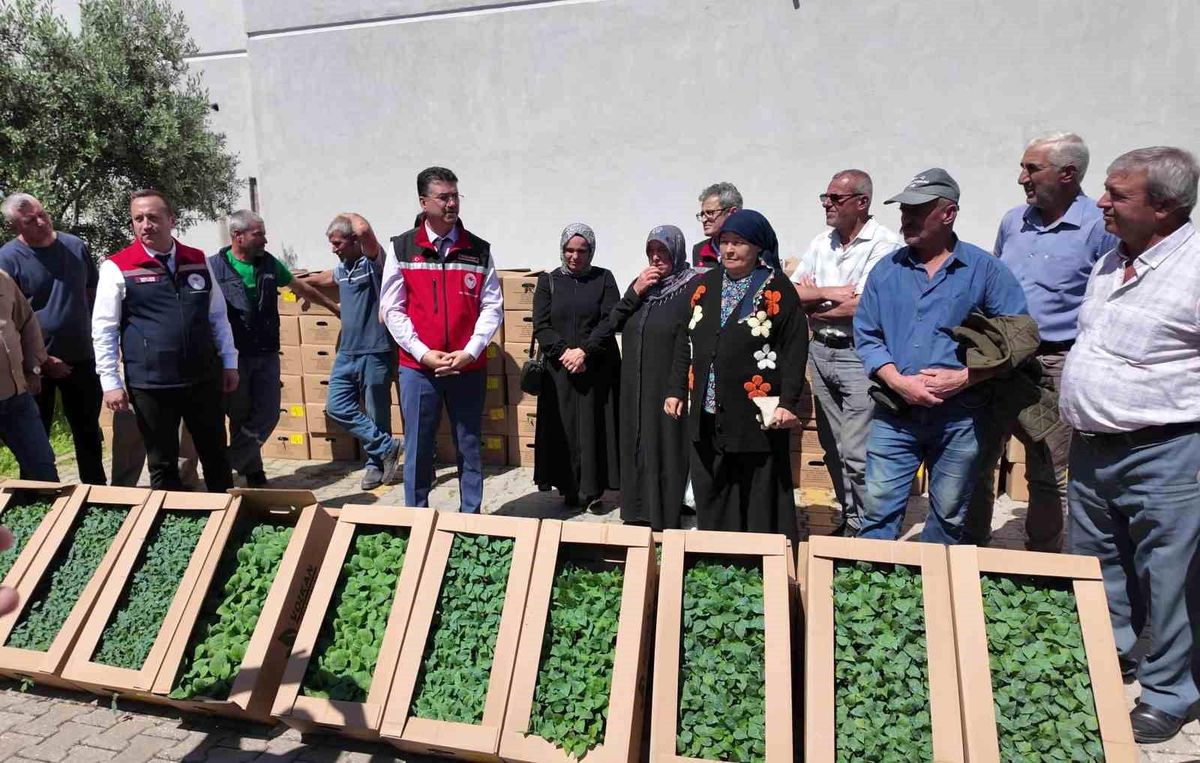 Tekirdağ’da 256 Bin Fide Dağıtıldı