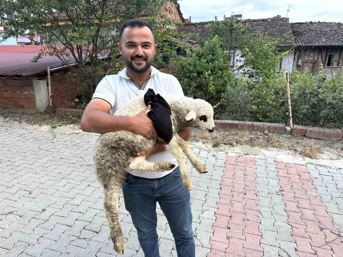 Kuzuya Sağlık Çalışanından Geleneksel Tedavi