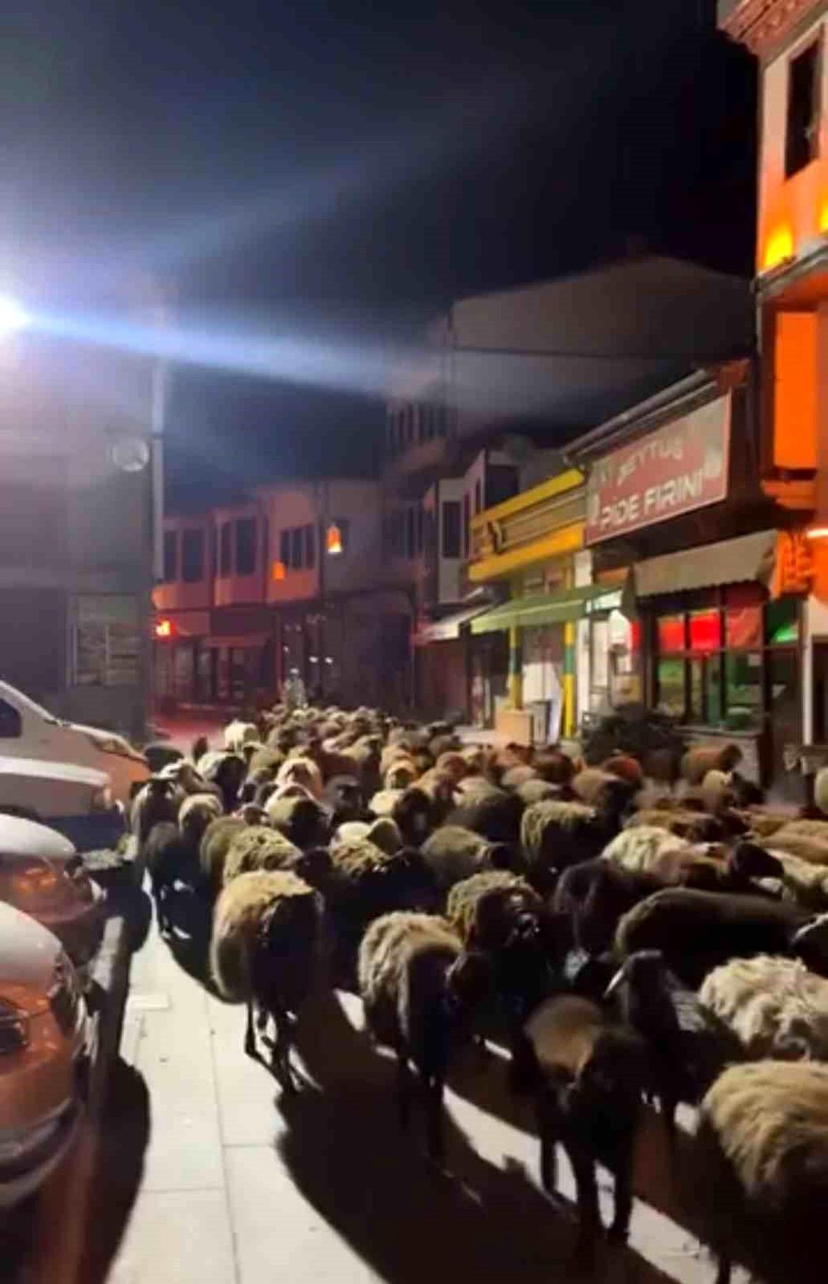Tokat’ta Bahar Göçü Şöleni