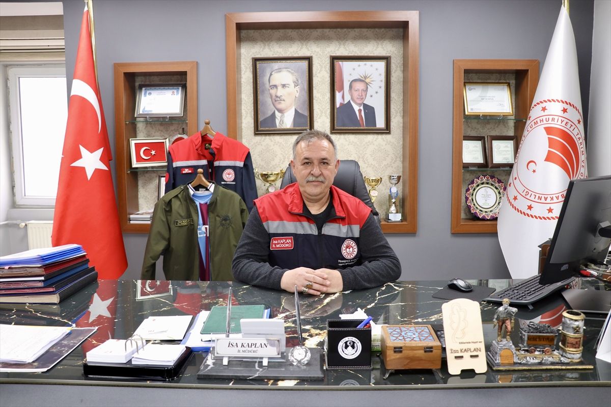 Kahverengi Kokarca ile Mücadele Devam Ediyor