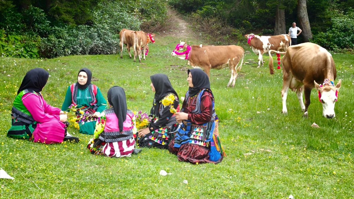 Trabzon’da Yayla Göçü Coşkusu