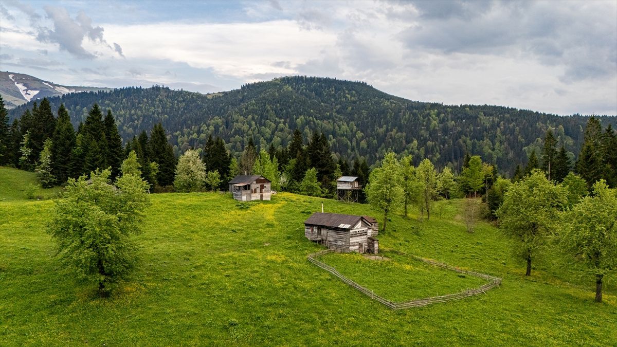 Trabzon Yaylalarında Doğayla Buluşma