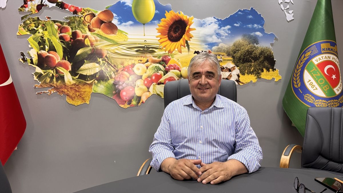 Yağışlar Tarımsal Verim Beklentilerini Artırdı
