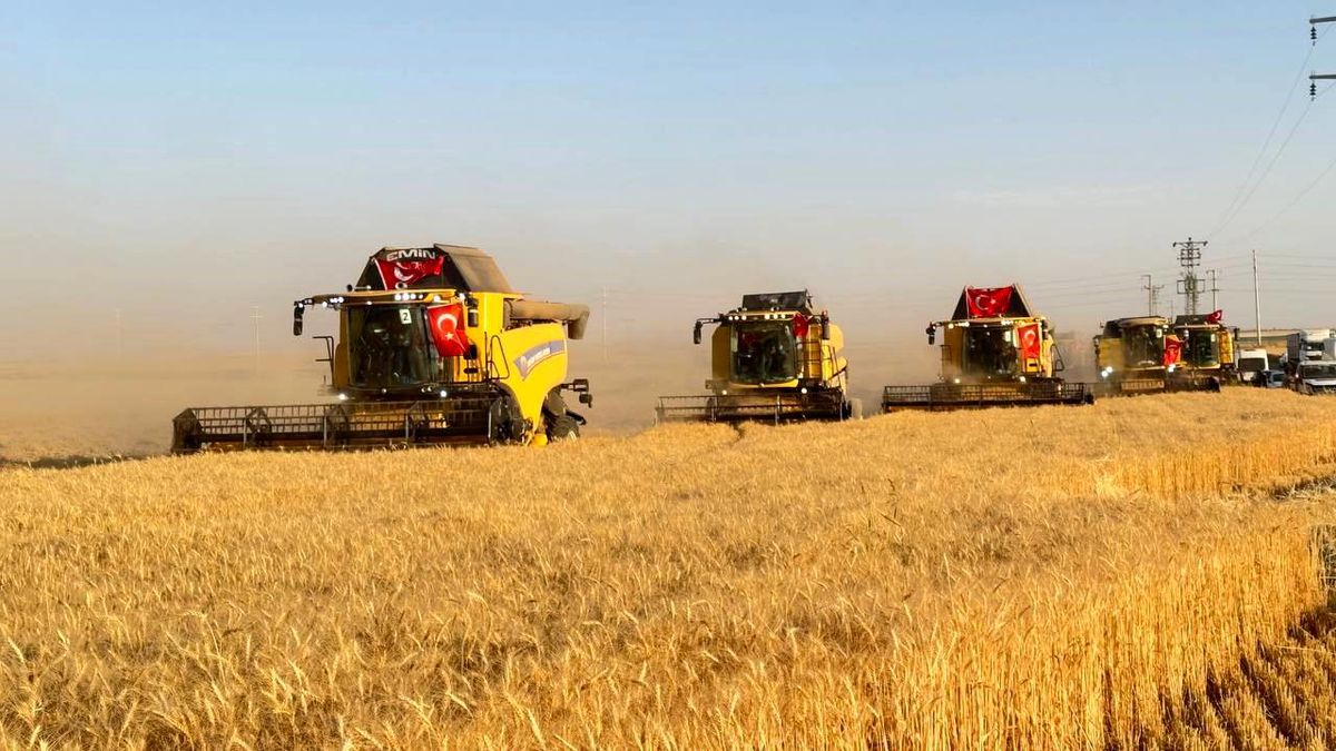 Türkiye’nin en büyük tarım işletmesinde hasat zamanı