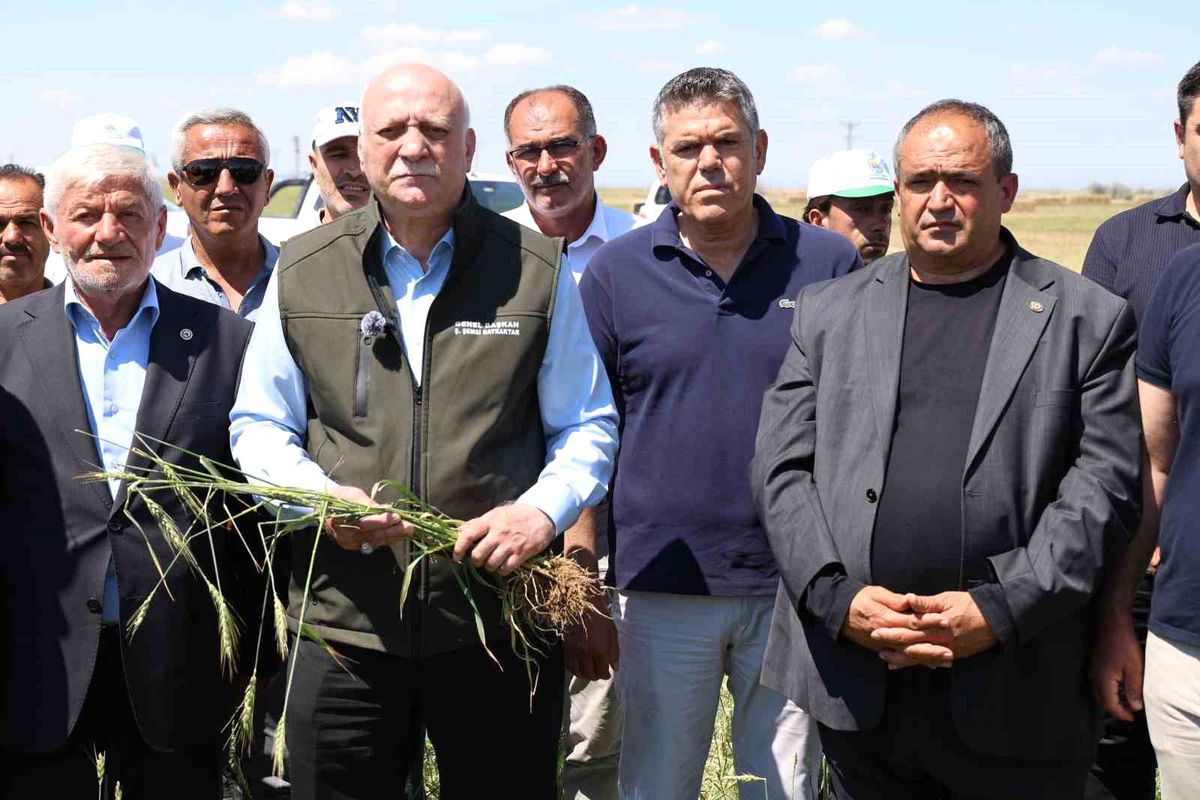 Aksaray’da Dolu Zararları için Yardım Talebi