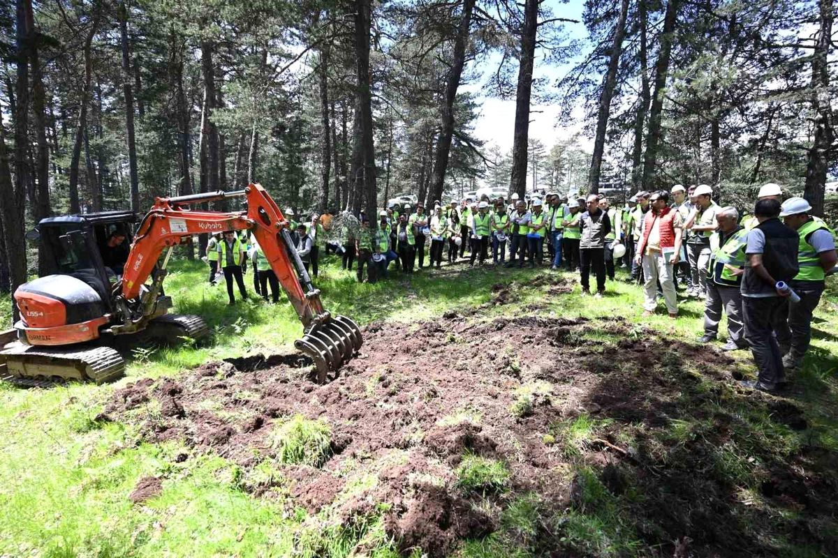Silvikültür Eğitimi Vezirköprü’de Gerçekleşti