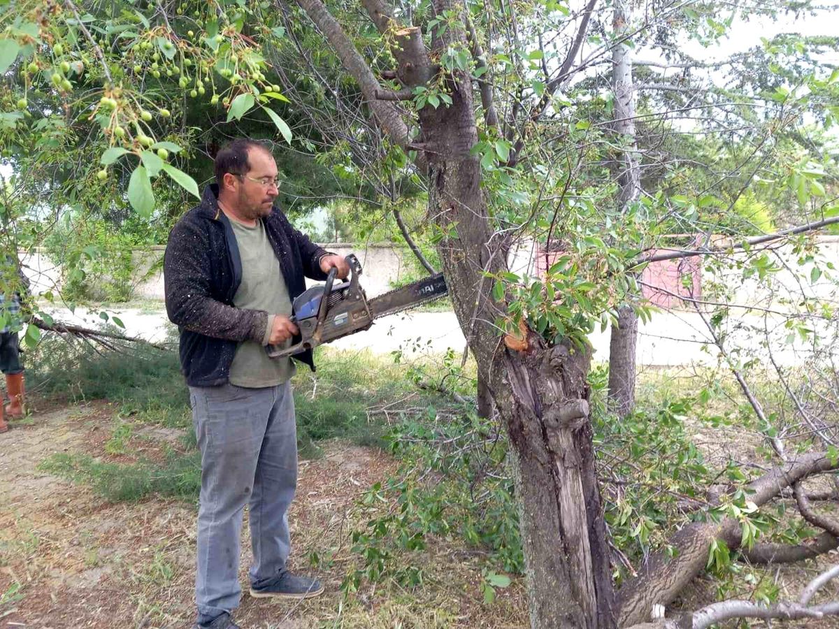 Yarımca Köyü’nde Doğa Yenileniyor