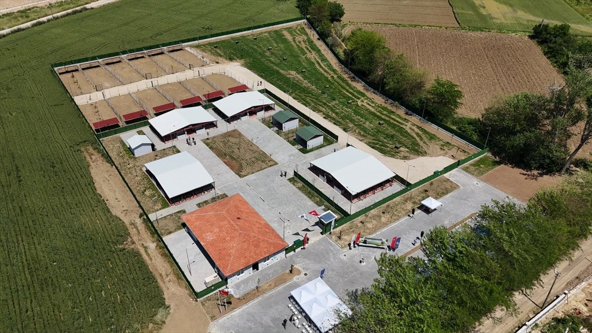 Bursa’da Modern Hayvan Bakımevi Açıldı