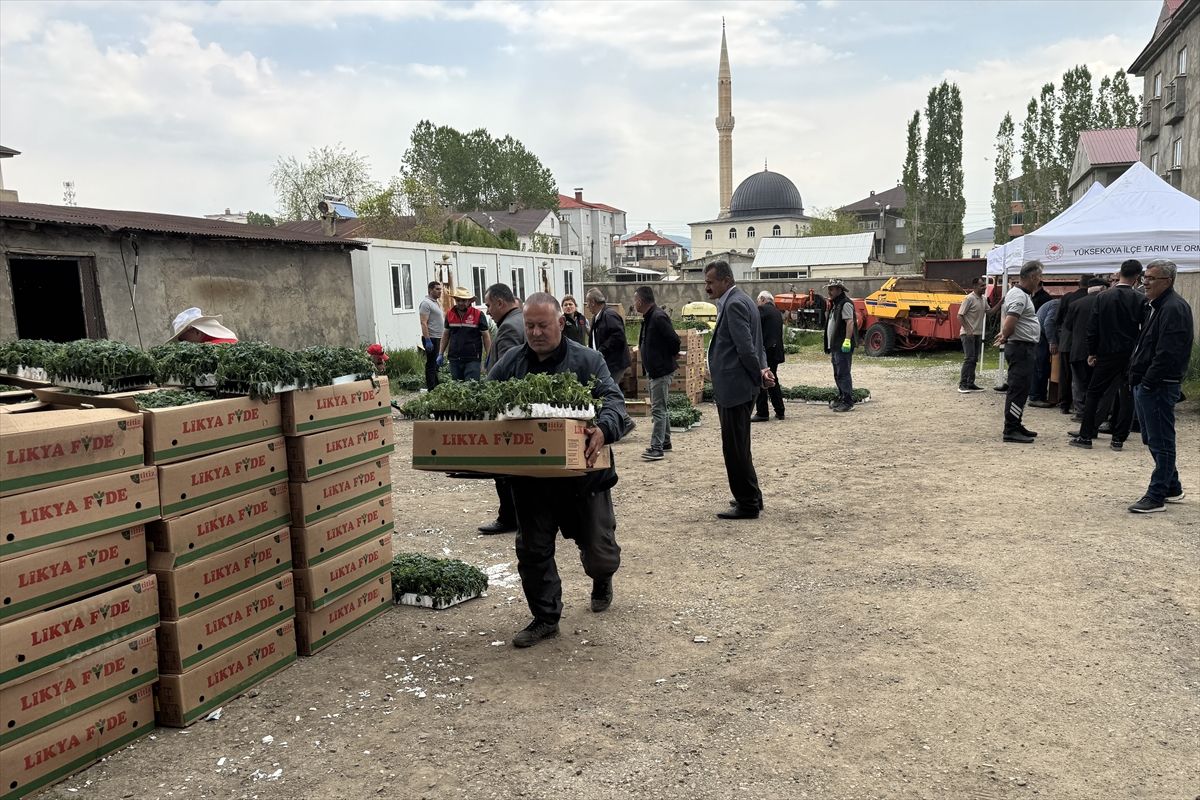 Yüksekova’da 155 Bin Sebze Fidesi Dağıtıldı
