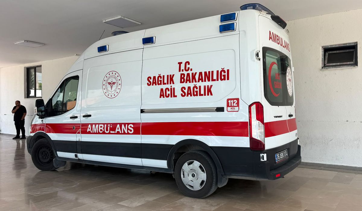 Iğdır’da Yılan Sokması Vakaları Artıyor