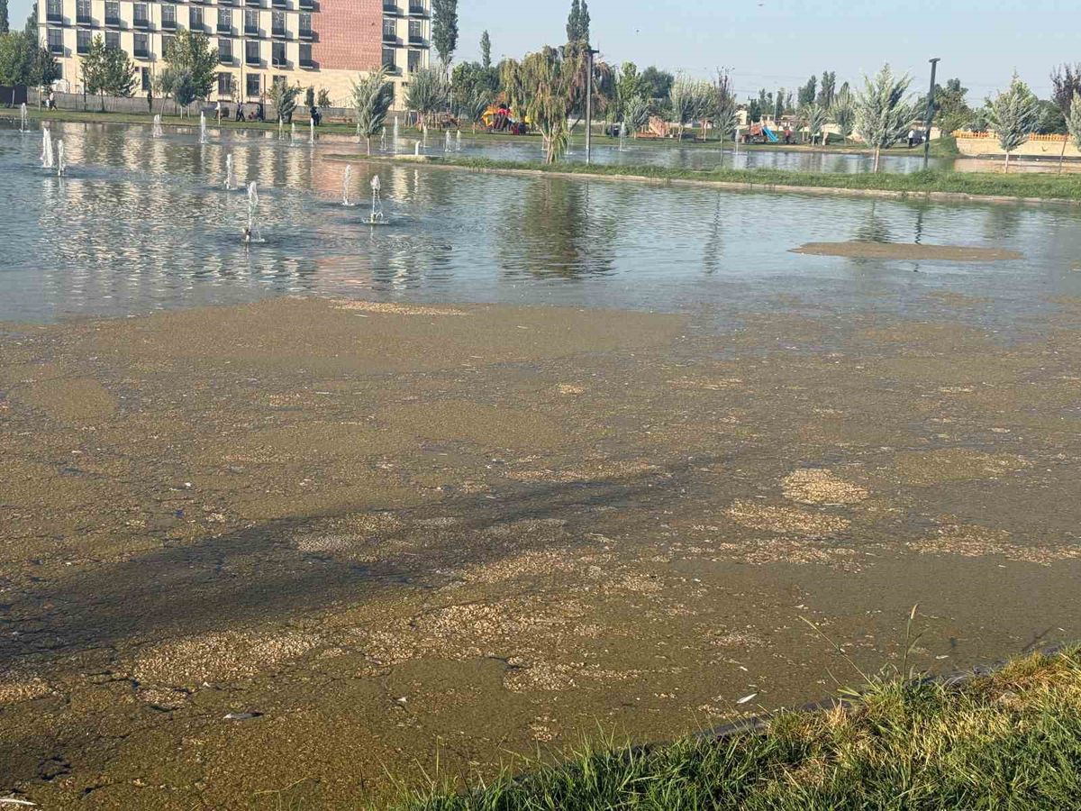 Iğdır Millet Bahçesi’nde Kirlilik Tepkisi