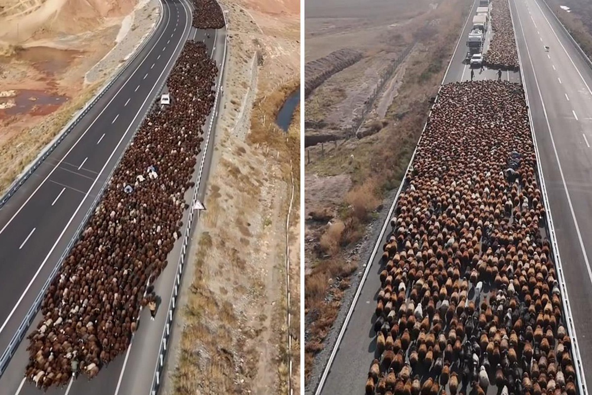 Görüntü Türkiye’den! İki şeritli yolu kapattılar, onlarca araç geçiş için bekledi
